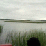 В Красной Звезде утонула женщина. Ребенка удалось спасти - Shadr.Info