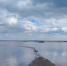 416 см достиг уровень воды в реке Тобол в городе Кургане - Shadr.Info