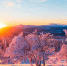 21 декабря - День зимнего солнцестояния - Shadr.Info