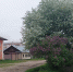 Первый день лета принесет в Шадринск 32-х градусную жару - Shadr.Info