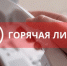 Открыта горячая линия по вопросам профилактики ОРВИ. - Администрация г. Шадринска