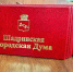 На связи с избирателями. Опубликован график приёма депутатами Шадринской Думы. - Администрация г. Шадринска