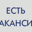 Объявлен конкурс на замещение вакантной должности руководителя Муниципального бюджетного общеобразовательного учреждения «Средняя общеобразовательная школа № 8». - Администрация г. Шадринска