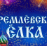 Трое детей участников СВО из Шадринска поедут на главную елку страны в Кремль. - Администрация г. Шадринска