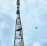 МТС обеспечила LTE-интернетом деревни на юге Курганской области - Shadr.Info