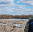 В Шадринском округе погиб мужчина во время рыбалки - Shadr.Info